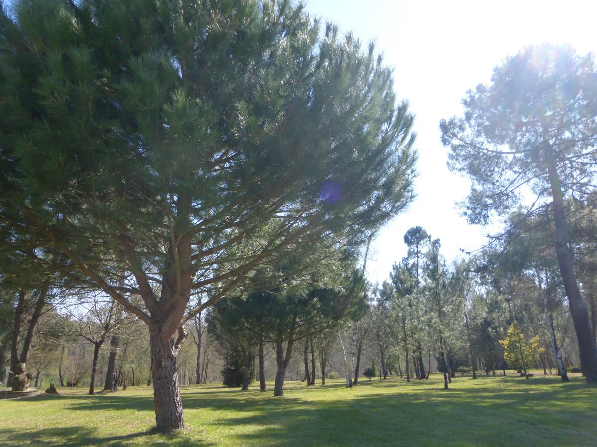 Gite Les Pins Perdus Saint-Ciers-d'Abzac Esterno foto